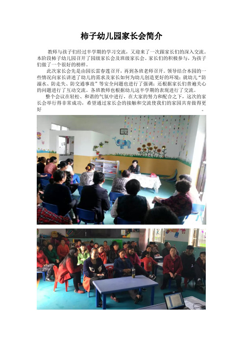 柿子幼儿园家长会简介