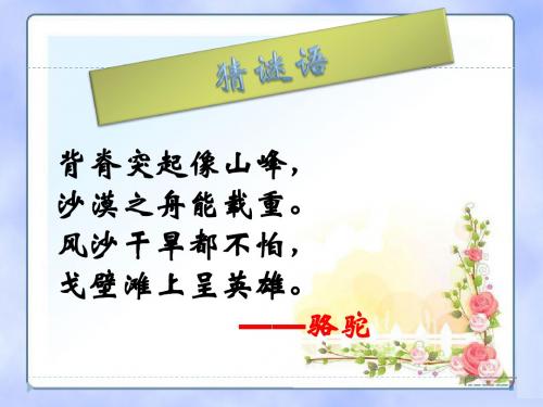 《找骆驼》PPT课件