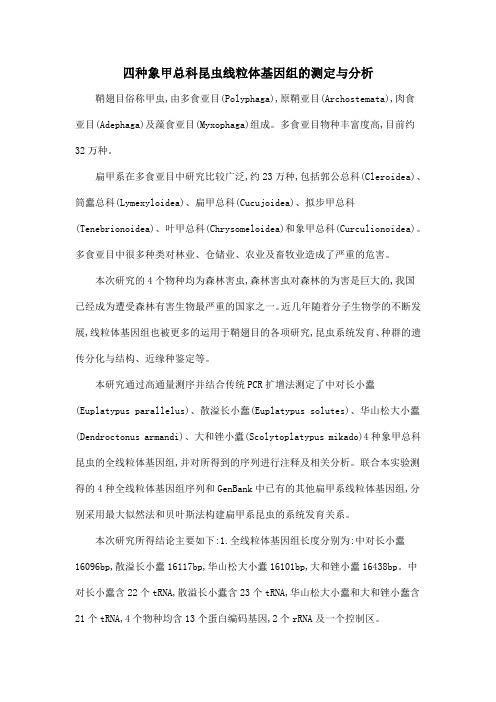 四种象甲总科昆虫线粒体基因组的测定与分析