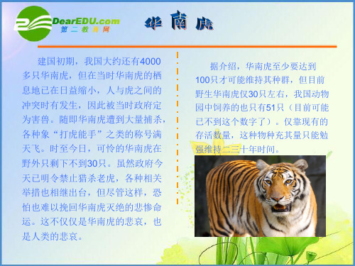 七年级语文下册《华南虎》课件人教版