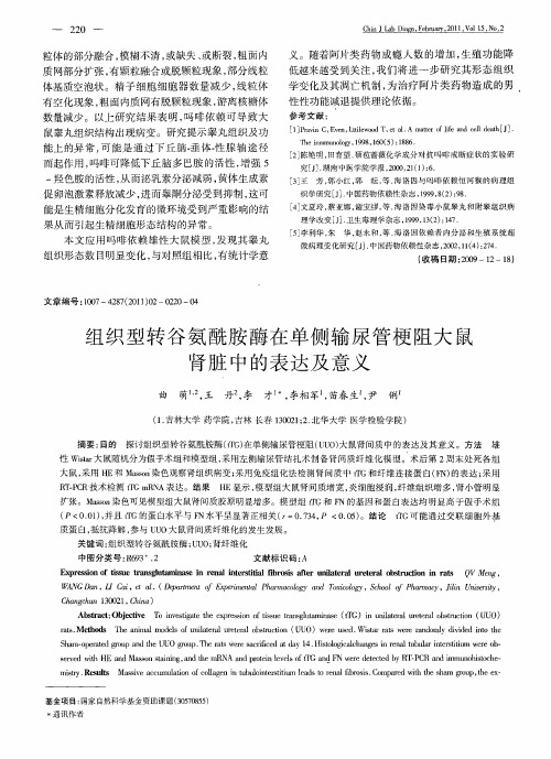 组织型转谷氨酰胺酶在单侧输尿管梗阻大鼠肾脏中的表达及意义