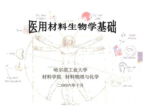医用材料生物学基础-蔡伟第二章医用植入材料生物环境——三人体血液与组织液