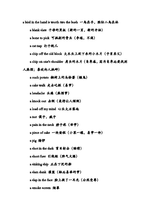 Slang 俚语
