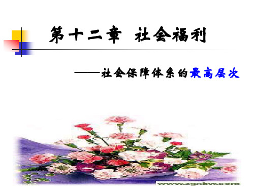 第12章 社会福利 PPT课件