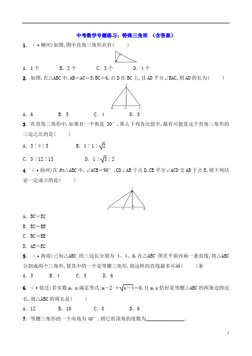 中考数学专题练习：特殊三角形 (含答案)