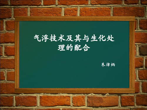 气浮技术及其与生化处理的配合