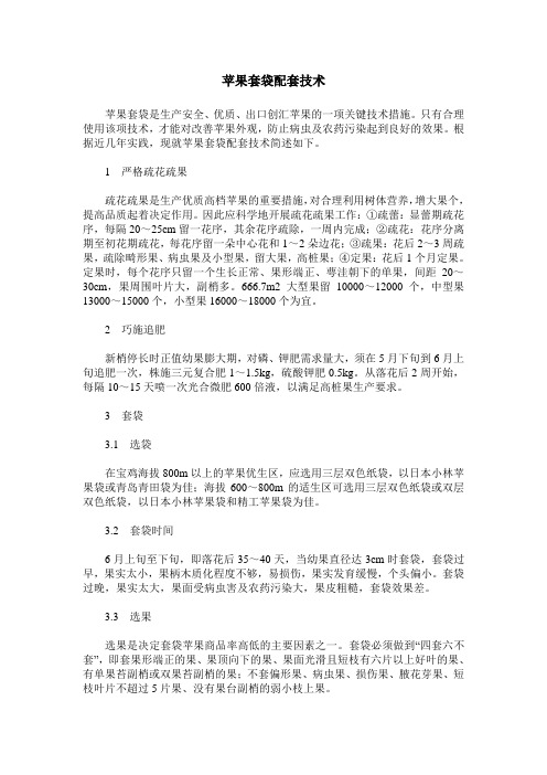 苹果套袋配套技术
