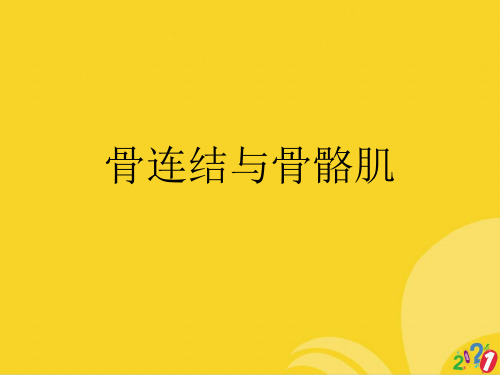 骨连结与骨骼肌标准文档ppt