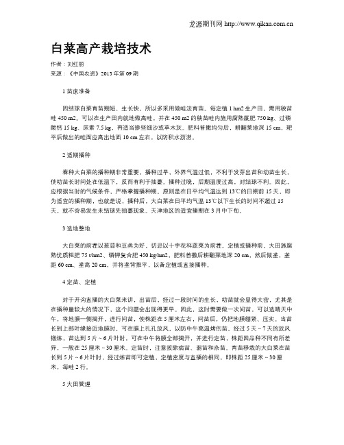 白菜高产栽培技术