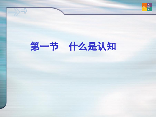 认知发展