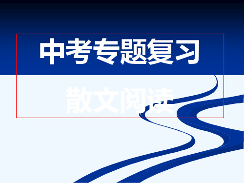 初中语文九年级中考复习《散文阅读》专题讲解练习PPT课件