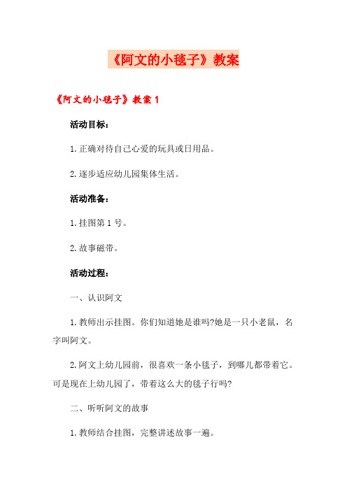 《阿文的小毯子》教案