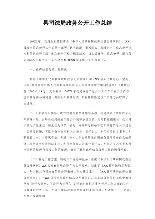 县司法局政务公开工作总结