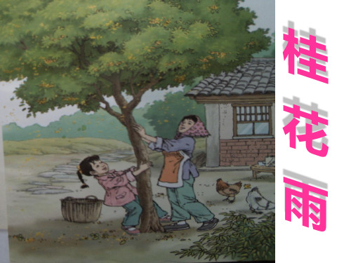 四年级上册语文课件-12 桂花雨｜苏教版 (共15张PPT)(2)