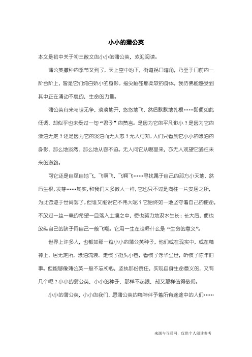 初三散文：小小的蒲公英