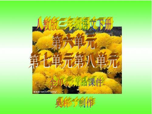 人教版三年级下册语文第六单元第七单元第八单元全单元精品课件