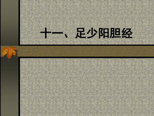 针灸学(第三章经络腧穴各论11-胆)