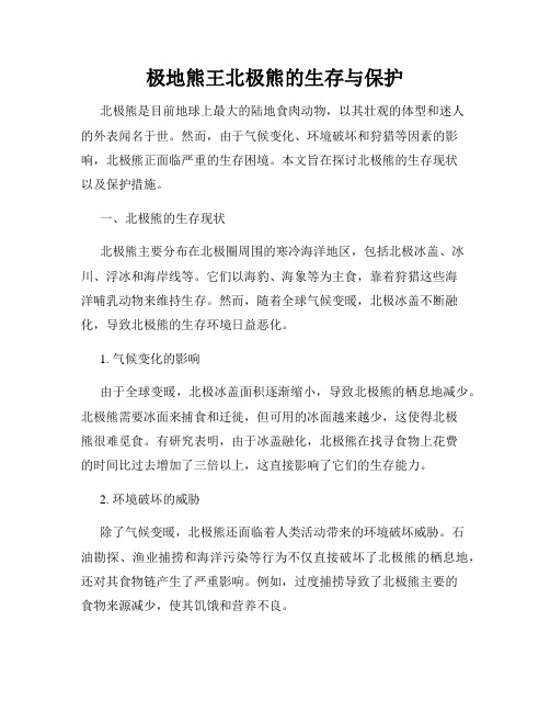 极地熊王北极熊的生存与保护