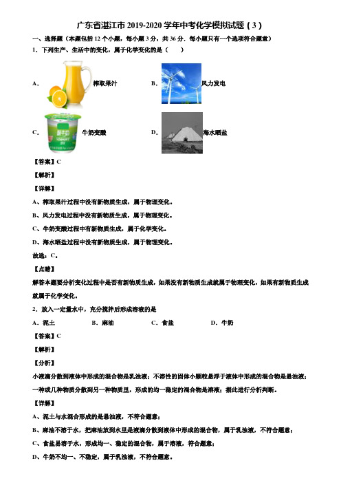 广东省湛江市2019-2020学年中考化学模拟试题(3)含解析
