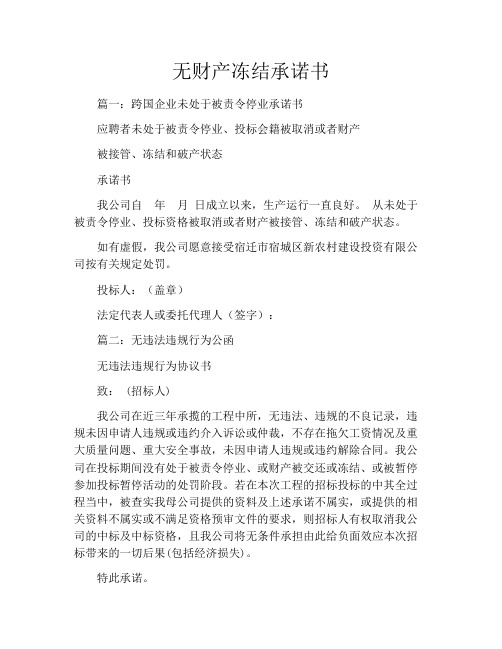 无财产冻结承诺书
