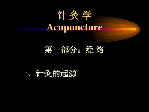 针灸学-经络