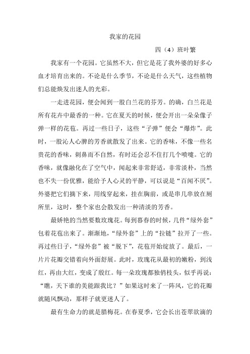 我家的花园