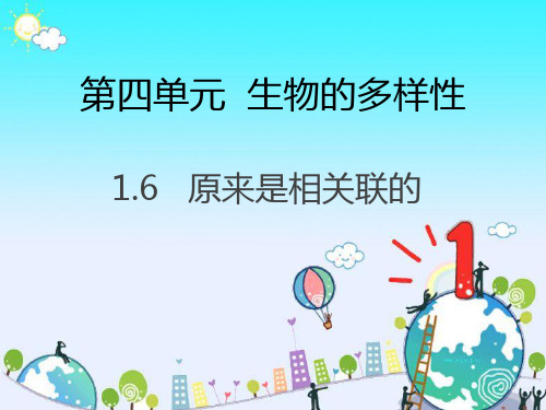 六年级上册科学课件第四单元 6.原来是相关联的 教科版(共26张PPT)