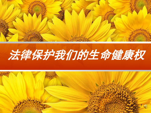 思想品德：1.2.1《法律保护公民的生命健康权》课件1(鲁教版八年级上册)