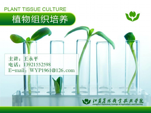 种质资源保存