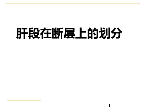 肝段断层解剖PPT课件