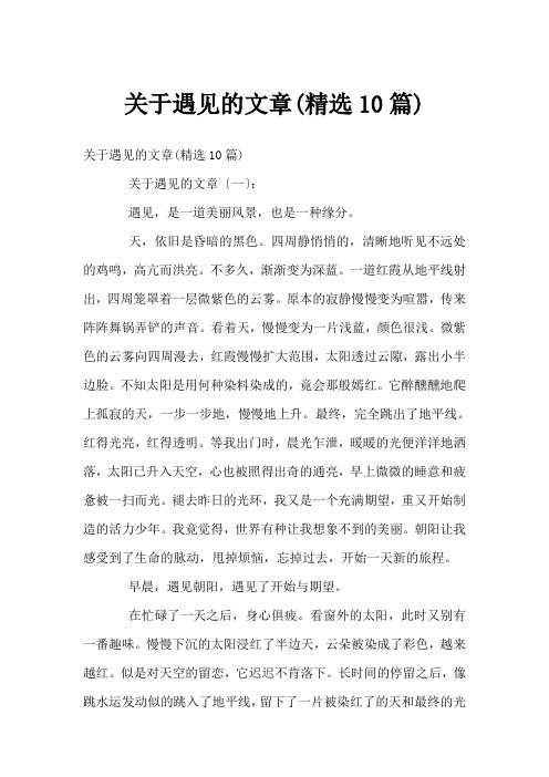 关于遇见的文章(精选10篇)