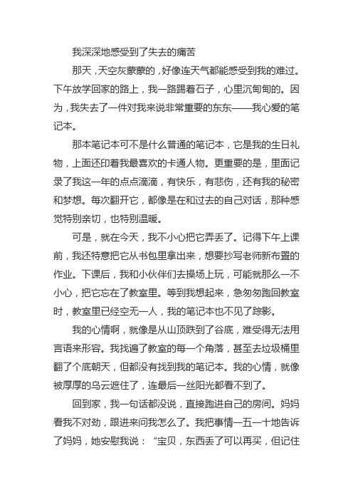 我深深地感受到了失去的痛苦作文