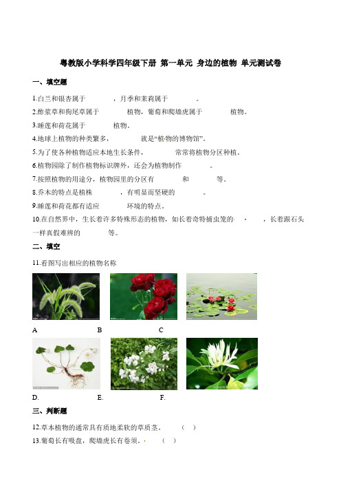 四年级下册科学试题- 第一单元 身边的植物  粤教版(含解析)