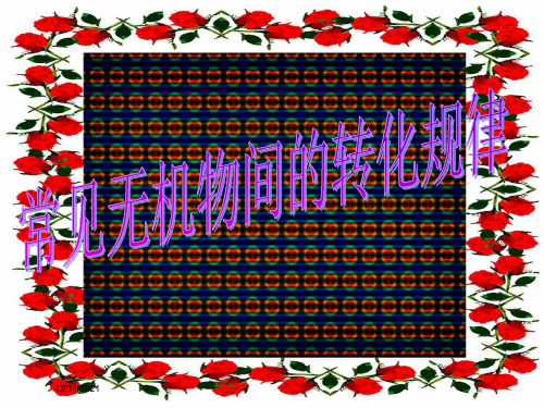 九年级科学下册 第3章 第1节 物质转化的规律课件 华东师大级下册自然科学课件