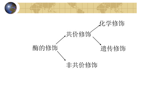 酶分子的化学修饰