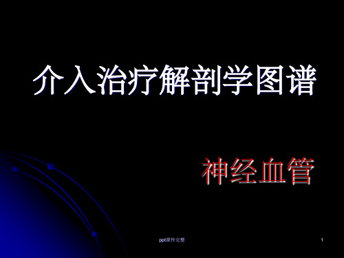 神经血管解剖图ppt课件