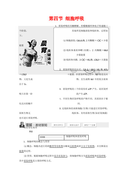 高中生物 第三章 第四节 细胞呼吸教学案 浙科版必修1-浙科版高中必修1生物教学案