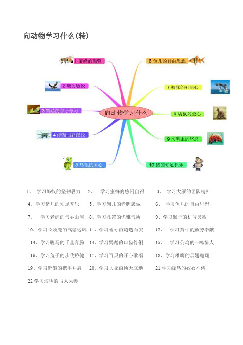 向动物学习什么