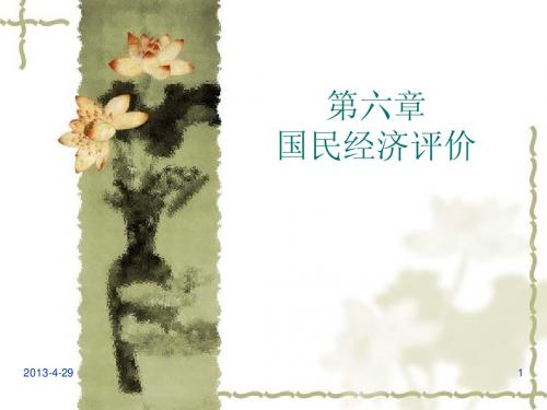 国民经济评价