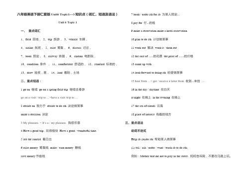 八年级初二下册仁爱版英语Unit6 Topic1---3知识点(词汇、短语及语法)(Word版)