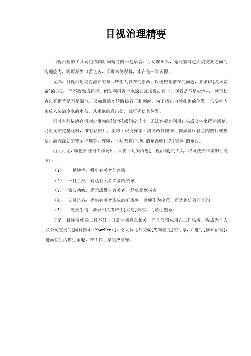 目视治理精要