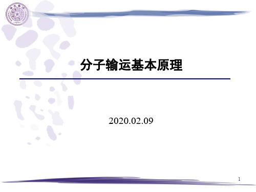 2020燃烧爆炸基础-5-分子输运基本原理