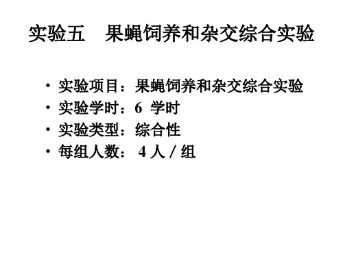 实验五果蝇饲养和杂交综合实验