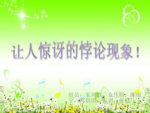 悖论PPT