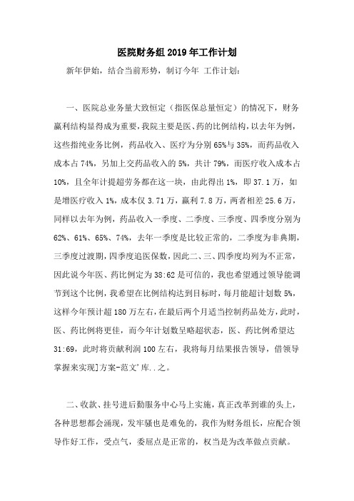 医院财务组2019年工作计划