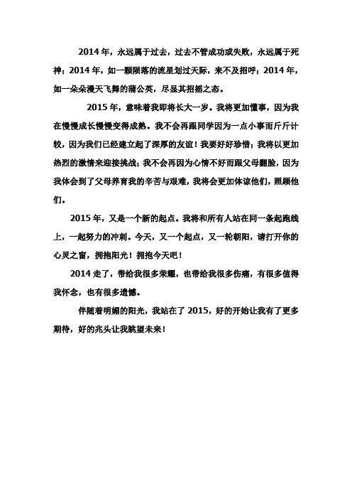 我的2014 作文