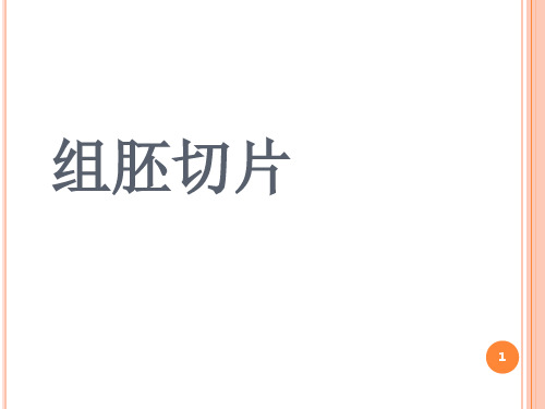 组胚切片(课堂PPT)
