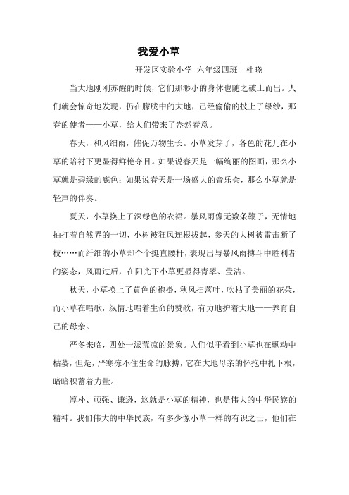 六四《我爱小草》杜晓
