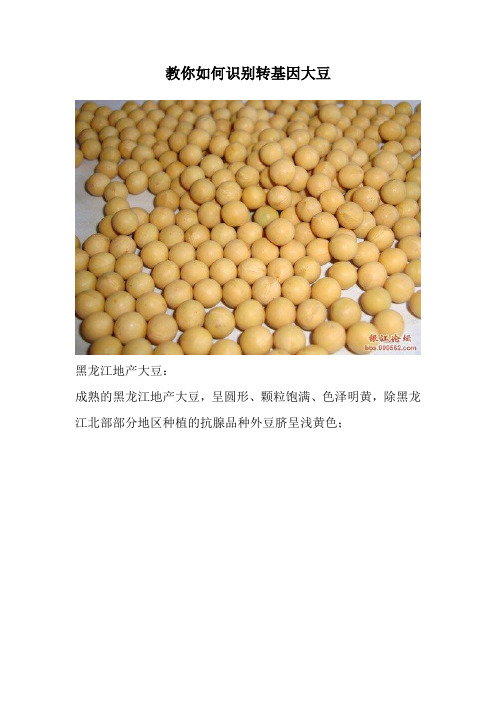 教你如何识别转基因大豆