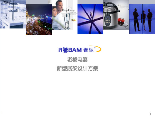 营销布局老板电器.pptx